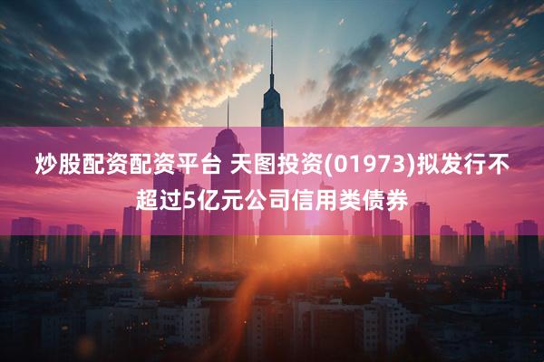 炒股配资配资平台 天图投资(01973)拟发行不超过5亿元公司信用类债券